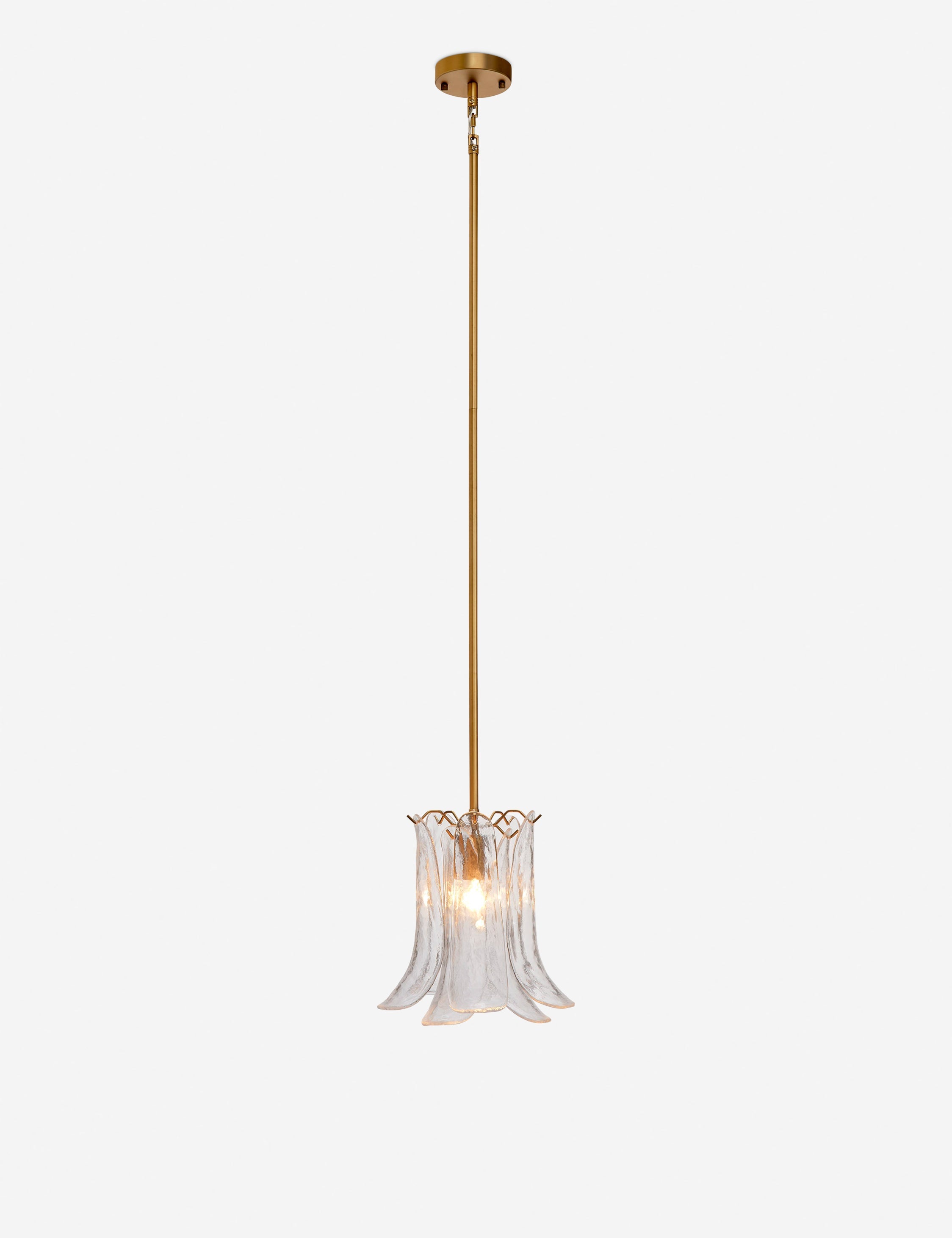Pallie Pendant Light