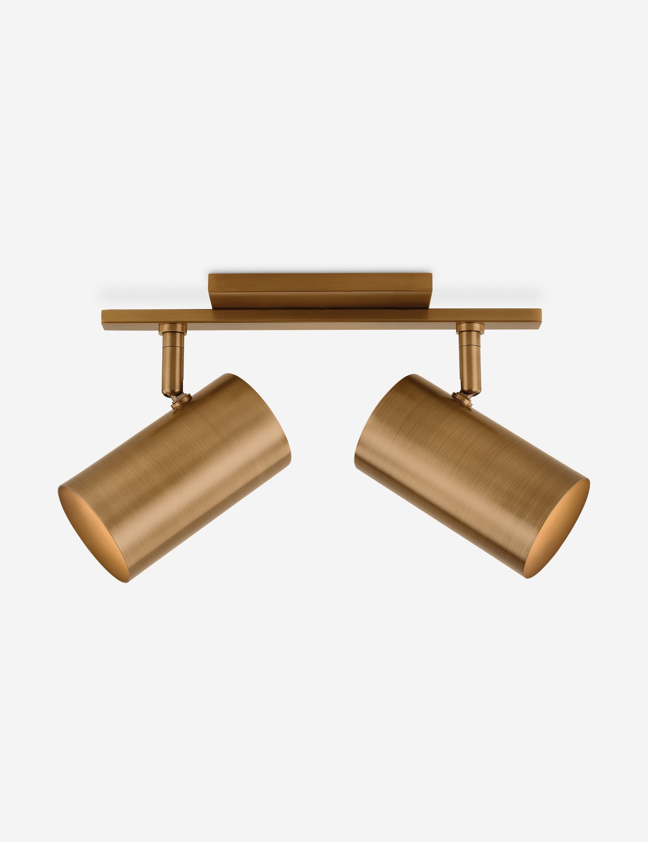 Newcomb Adjustable Vanity Light